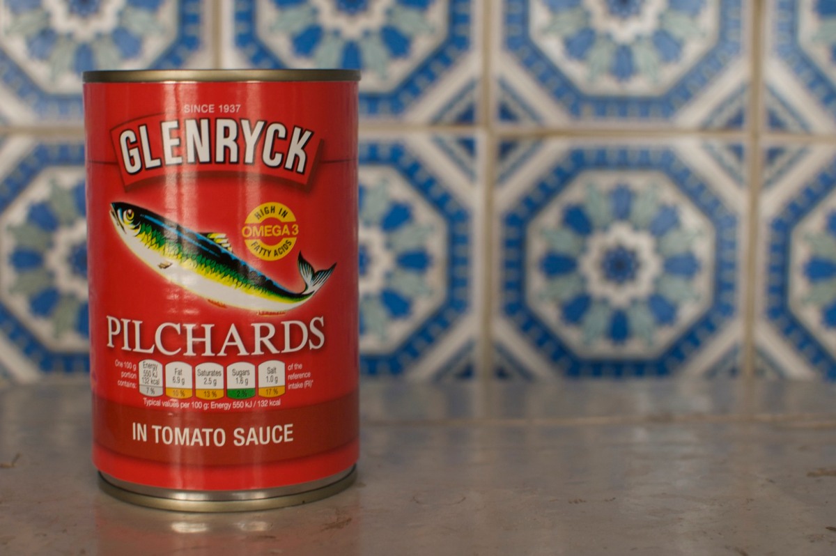 Pilchard, rtinned, canned, fish